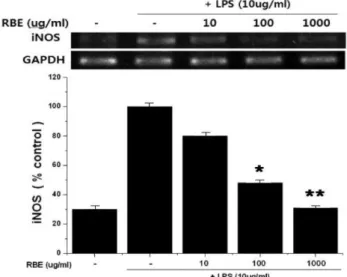Fig. 3 − Inhibitory effects of RBE on iNOS Expression in LPS- LPS-stimulated RAW 264.7 Cells