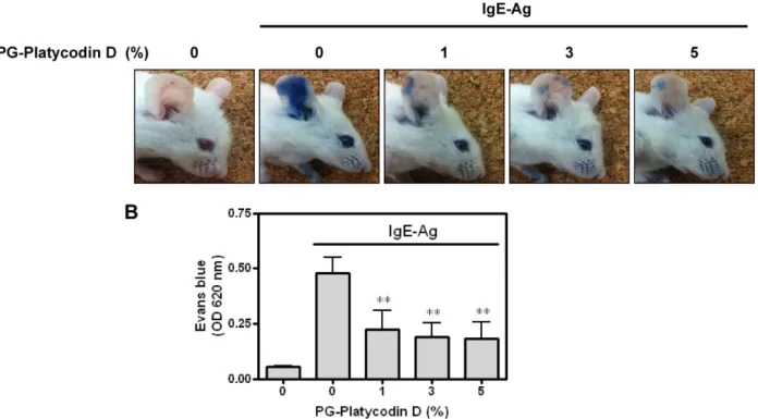 Fig. 1. Effect of PG-Platycodin D on IgE/Ag-induced passive cutaneous anaphylaxis (PCA)