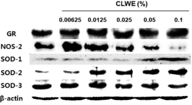 Fig. 5. Inhibition effect of CLWE on ACE of derived from rabbit lung. Captopril was used as a positive control for  anti-hypertensive effect