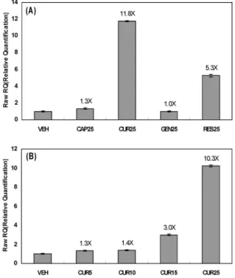 Fig. 2. Confirmation of microarray analysis with real time PCR.