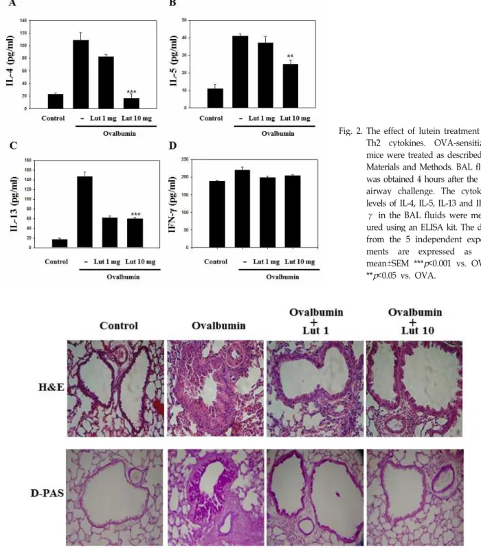 Fig. 2. The effect of lutein treatment on Th2 cytokines. OVA-sensitized mice were treated as described in Materials and Methods