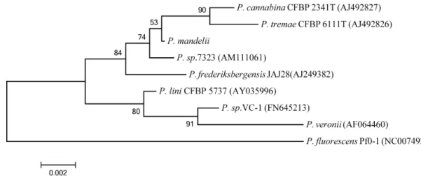 Fig. 1. Phylogenetic tree based on the 16S rRNA gene sequence of P. mandelii JR-1. P. mandelii belongs to the P