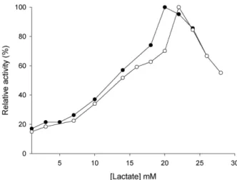 Fig. 6. Effect of L-lactate concentrations on the activity of LDH isozymes in eye from L
