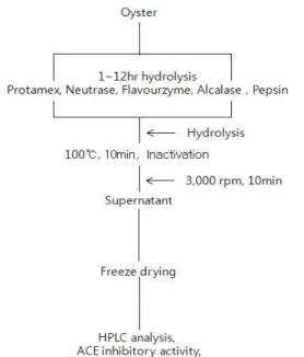 Fig. 1. Procedure for preparation of 1-step enzymatic hydrolysates.
