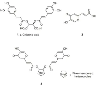 Fig.  1 - Structures  of L-chicoric  acid  and  target  compounds.
