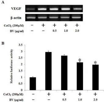 Fig. 1. Effect of bee venom on CoCl 2 -induced HIF-1α expression in HCT116 cells. (A) Dose-dependent effect of bee venom on the viability of HCT116 cells