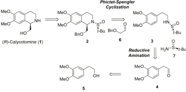 Fig.  2 - Retrosynthesis  of  (/?)-calycotomine  (1).
