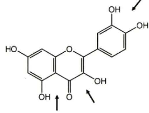Fig.  1  - Representation and atomic numbering adopted for quercetin. 