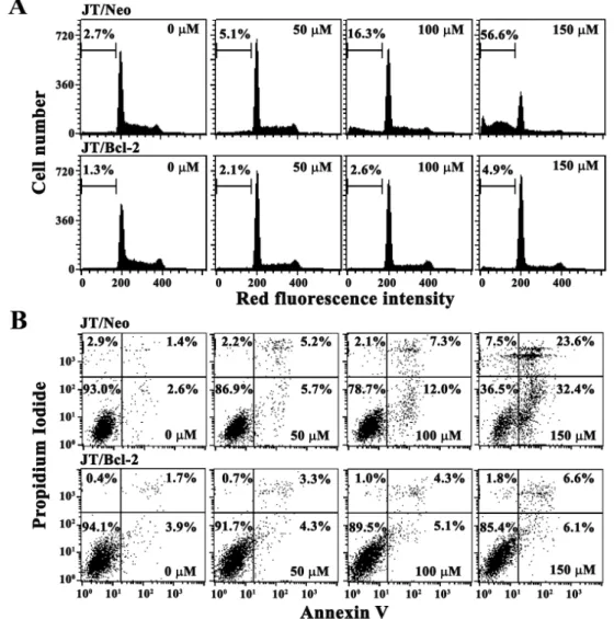 Fig. 2. Changes in cell cycle distribution (A) and apoptotic cell death (B) in JT/Neo and JT/Bcl-2 cells following exposure to various concentrations of p -coumaric acid for 60 hr