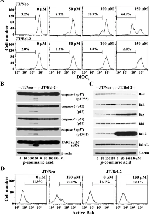 Fig. 3. Change in mitochondrial membrane potential (Δψm) (A), Western blot analysis of activation of caspase-9, -3, -7, and -8, cleavage of PARP and β-actin (B), and pro-apoptotic Bcl-2 family members (Bad, Bak, Bax and Bid), anti-apoptotic Bcl-2 family me