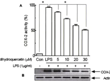 Fig.  7 - Effects of sakuranetin on (A) COX-2 activity and (B) COX-  2 protein expression in RAW 264.7 cells (IxloVm/)