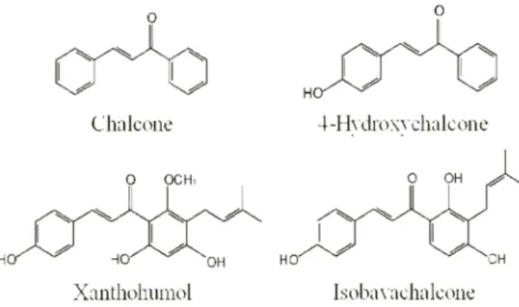 Fig.  1 - Chemical structure of chalcone, 4-hydroxychalcone, xantho­