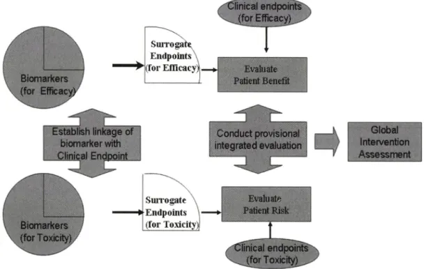 Fig.  1 - Relationship  of biomarkers  and  surrogate  endpoints  and  conceptual  model  for  therapeutic  intervention  (BDWG)/