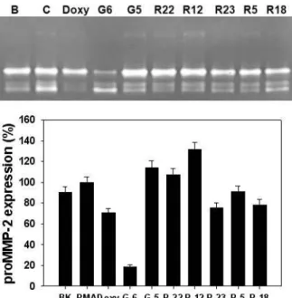 Fig. 5. Effects of seaweeds methanolic extracts on expression and activity of MMP-2 and MMP-9 in HT1080 cells
