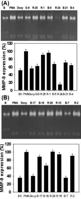 Fig. 6. Effects of seaweeds methanolic extracts on expression and activity of MMP-2 and MMP-9 in HT1080 cells
