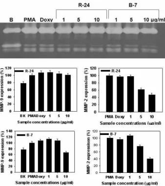 Fig. 9. Effects of seaweeds methanolic extracts on expression and activity of MMP-2 and MMP-9 in HT1080 cells