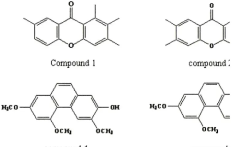 Fig.  2 - Inhibitory  effects  of  berberine  on  TNF-a-induced  U937  monocytic  cell  adhesion  to  HT29  colonic  epithelial  cells