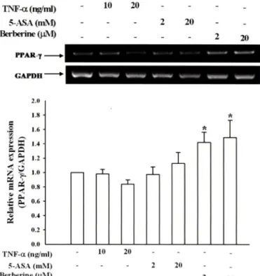 Fig.  6 - Involvement  of  NF-kB  but  not  PPAR-y  on  berberine-  mediated  adhesion  of  monocytes  to  HT29  cells