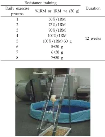 Table 1. Resistance exercise program Resistance training DurationDaily exercise process %1RM or 1RM +α  (30 g) 1 50%/1RM 12 weeks275%/1RM390%/1RM4100%/1RM 5 100%/1RM+30 g 6 5+30 g 7 6+30 g 8 7+30 g