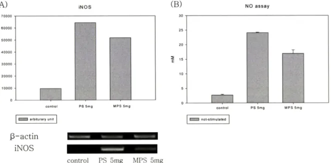 Fig.  2 -  Effect  of NO  production by  RAW264.7  in  the  presence  of MPS  and  PS  5x10 크   RAW264.7  cells  were  incubated  w ith  MPS  or PS  for  24 hr  and  then  NO  assay  was  performed  and  expression  level  of  iNOS  was  measured  by  RT-P