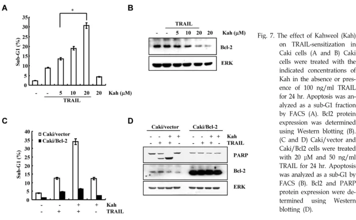 Fig. 7. The effect of Kahweol (Kah) on TRAIL-sensitization in Caki cells (A and B) Caki cells were treated with the indicated concentrations of Kah in the absence or  pres-ence of 100 ng/ml TRAIL for 24 hr