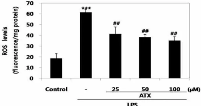 Fig. 8. Effects of ATX on ROS generation. RAW264.7 cells were treated with various concentrations of ATX (25-100 μM) for 1 hr prior to the addition of LPS (10 μg/ml), and then the cells were further incubated for 24 hr