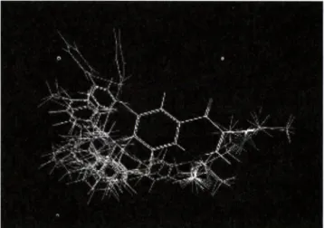 Fig.  1 -  Alignment  of  the  potential  energy  minimized  quinolone  structures  according  to  a  least-squares  atom  based  fit.
