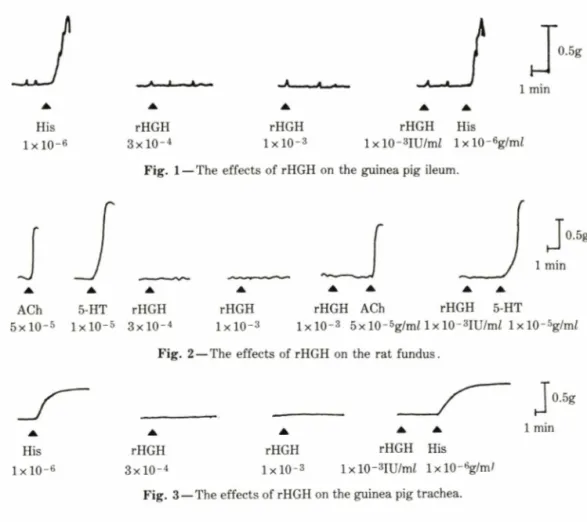 Fig.  2 — The  effects of rHGH  on the  rat fundus.