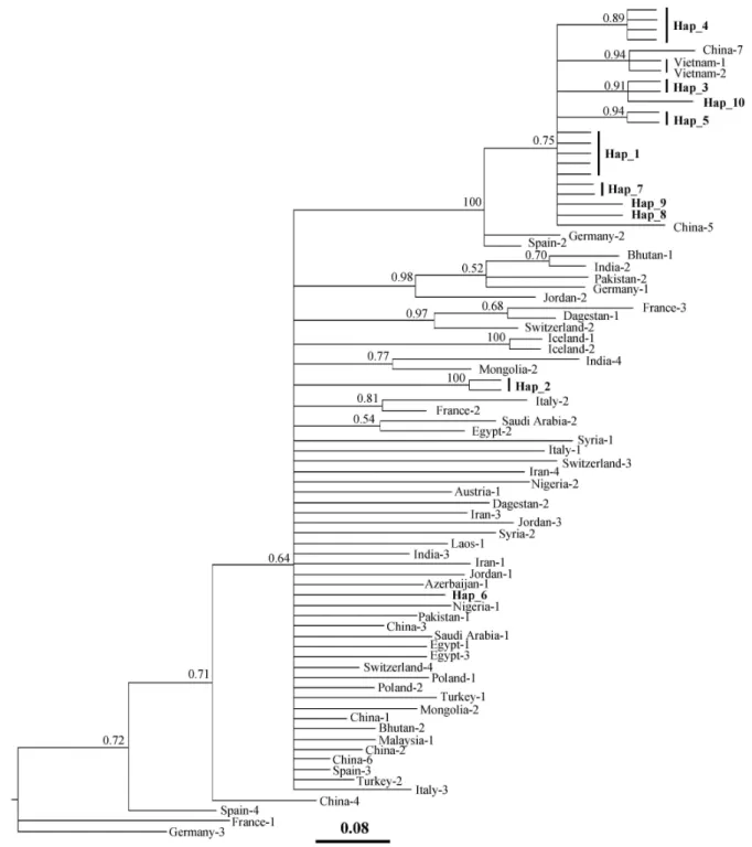Fig. 2. A consensus phylogenetic tree reconstructed using statistics for the taxon bipartitions and clade credibility (posterior proba- proba-bility) values