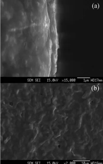 Fig. 3 SEM micrograph of the sample (CVM2) 