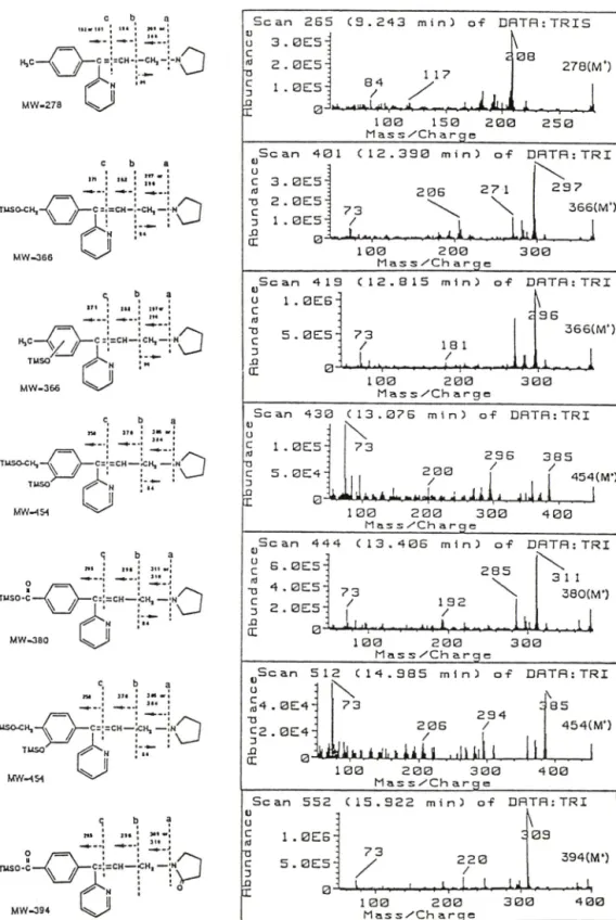 Fig.  2—Mass spectrum of triprolidine and  its metabolites.  I. triprolidine.  II.  hydroxymethyltriprolidine,  III