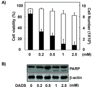 Fig. 1. Effects of DADS on viability, proliferation, and apoptosis in HepG2 cells. Cells were plated at 1×10 5 cells per 60-mm dish, incubated for 12 hr, and treated with  differ-ent concdiffer-entrations of DADS for 24 hr