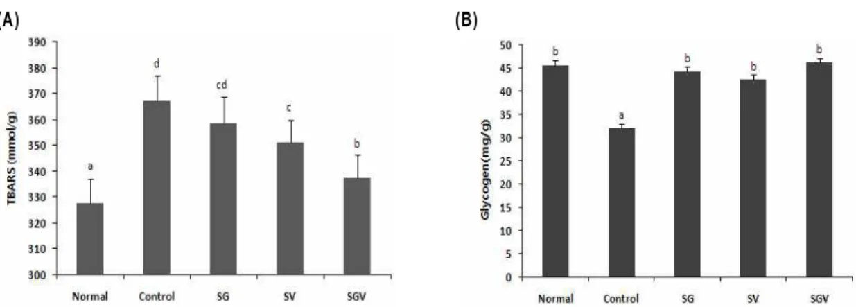 Fig. 3. Effect of 1% garlic extract and vitamin B complex enhanced diet on TBARS (A) and glycogen (B) contents in liver of rats on subjects undergoing exhaustive endurance exercise.