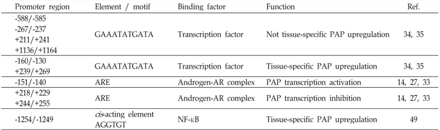 Fig. 3. The role of cellular PAP in human ErbB-2 receptor signal- signal-ing pathway. When HER-2 is activated by  phosphor-ylation on its tyrosine residue, it undergoes homodimerization