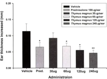 Fig.  2 - Analgesic activity of essential oil from  Thymus magnus  on 