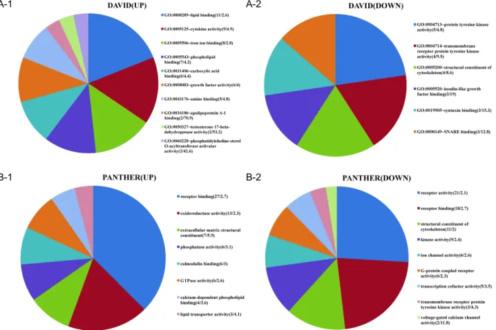 Fig. 5. Molecular functions of differentially expressed genes. Molecular functions of input genes were obtained from DAVID (5A) or PANTHER (5B)