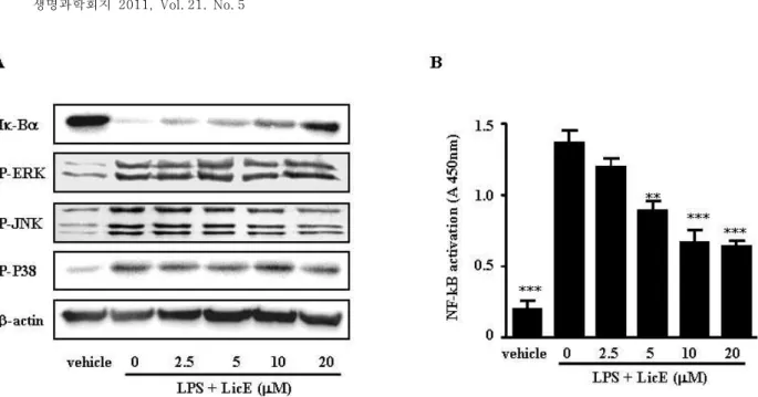 Fig. 6. Effect of LicE on LPS-induced Iκ-B degradation and DNA-binding of NF-κB in LPS-stimulated murine macrophages