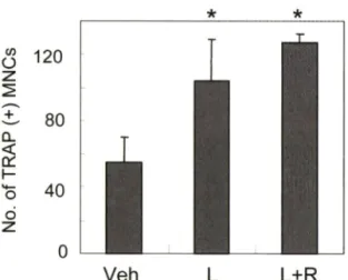 Fig.  3 - Effects of rolipram on LPS-induced osteoclast formation in  bone  marrow  cultures
