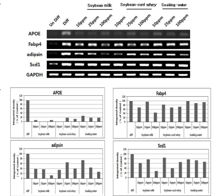 Fig. 6. Relative expression of genes related lipid metabolism, APOE, Fabp4, adipsin and Scd1, in 3T3-L1 differentiation upon treatment with by-products extracts