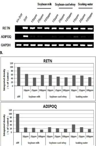 Fig. 7. Relative expression ratio of adipokines, LEP, RETN, ADIPOQ. Total RNAs were extracted from 3T3-L1 cells and expressions of adipokine genes were quantified by RT-PCR 