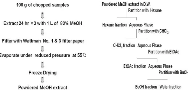 Fig. 1. Fractionation procedure of methanol extract from Rosmarinus officinalis L. by solvent separation.