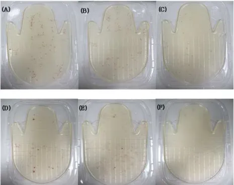 Fig. 5. Antimicrobial activities of Rosmarinus Officinalis L. fractions using hand plate