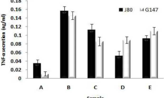 Fig. 6. Effects of bacterial extracts prepared by various methods on the PMA- and A23187-induced TNF-α secretion by HMC-1 cells