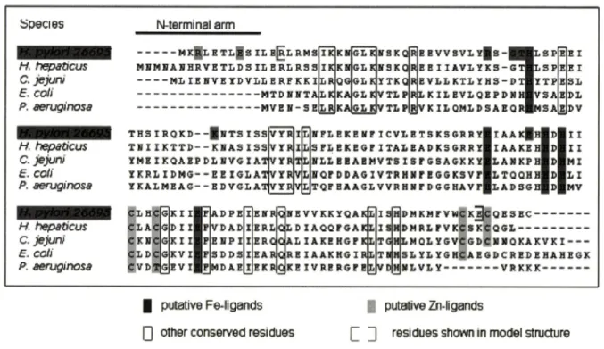 Table  I - The  strains  that  used  in  this  study