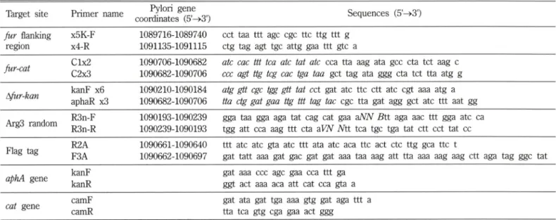 Table  II - Primers  used  for H. pylori  gene  amplification.  Italicized  means  complementary  sequences  that  served  as  a tail  for 3  fragment  assembly
