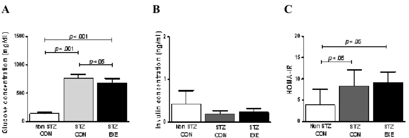 Fig. 1. Glucose concentration, Insulin concentration and HOMA-IR at the end of 6week of exercise training