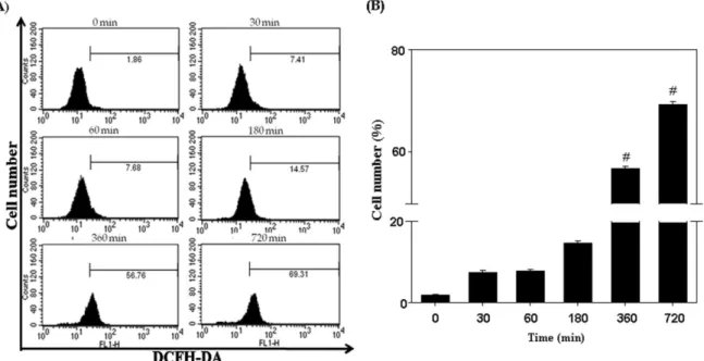 Fig. 5. Effect of cordycepin on ROS generation in PC-3 cells. A. The ROS generation was determinded by the fluorescence of DCFH-DA by flow cytometry