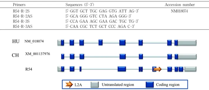 Table 1. Primer pair for expression comparison in human and rhesus tissues