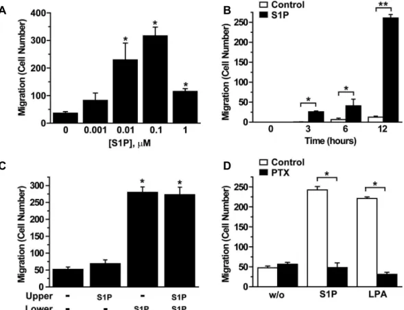 Fig. 1. Role of Gi in S1P-induced migration of BMSCs. (A) BMSCs were loaded onto the upper chambers of the Boyden apparatus and serum-free media containing the indicated concentrations of S1P were placed in the lower chambers