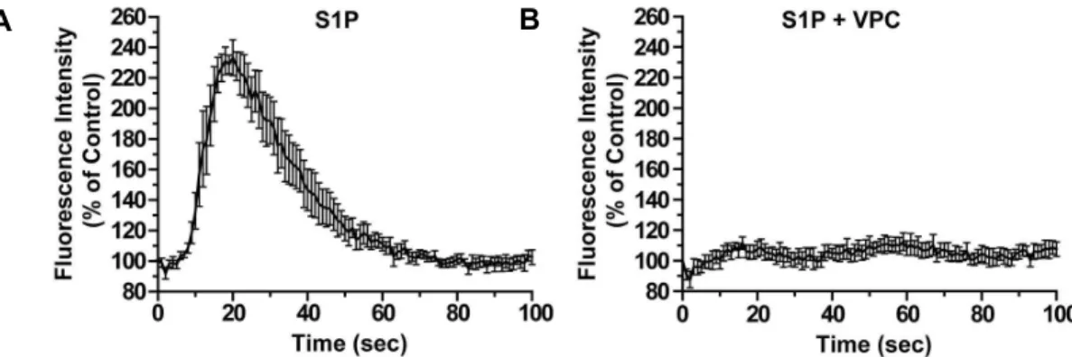 Fig. 2. S1P induces elevation of [Ca 2+ ] i in BMSCs. Serum-starved BMSCs were loaded with 5 μM Fluo-4-AM for 40 min at 37 o C in the absence or presence of 10 μM of VPC23019 and then treated with serum-free medium containing 0.1 μM S1P in the absence or p